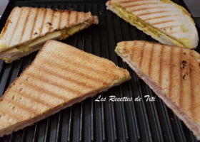 Croques-monsieur poulet au curry / saucisson polonais et fromage