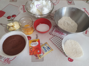Gâteau choco coco de Dédé par "Les Recettes de Titi"
