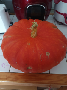 parmentier citrouille pommes de terre par "Les Recettes de Titi"