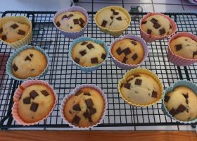 Muffins pépites de chocolats