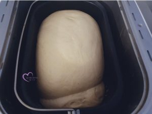 Brioche « de l’Amitié » aux pépites de chocolat par "Les Recettes de Titi"