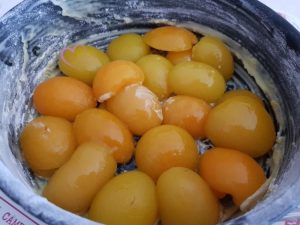 Clafoutis aux abricots au sirop par "par les Recettes de Titi"