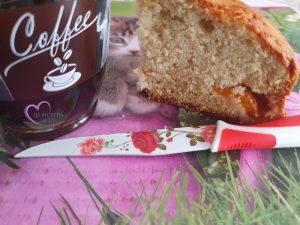 Gâteau aux abricots et à la noix de coco par "Les Recettes de Titi"