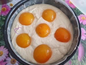 Gâteau aux abricots et à la noix de coco par "Les Recettes de Titi"