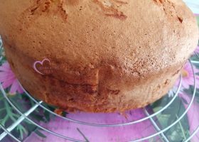 Gâteau aux abricots et à la noix de coco