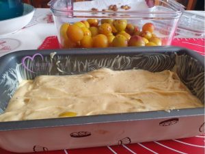 Cake aux mirabelles par "Les Recettes de Titi"