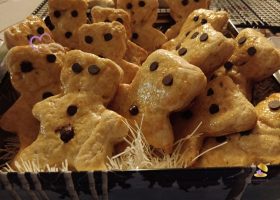 Petits oursons de Noël